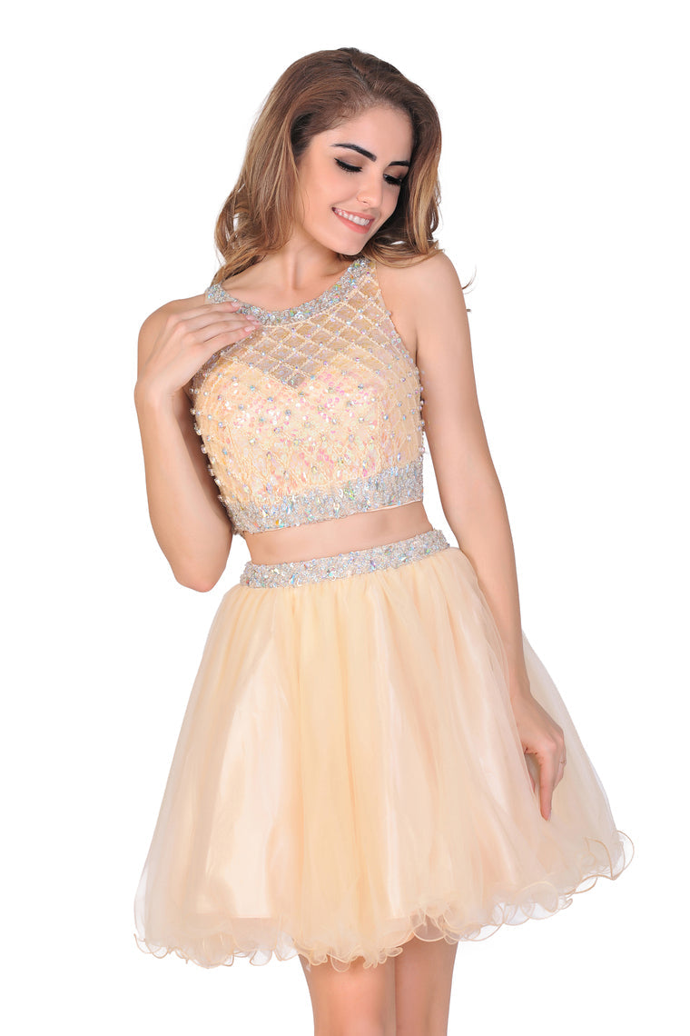 2024  A-Line Homecoming Dresses Short/Mini Scoop Beaded Bodice Tulle